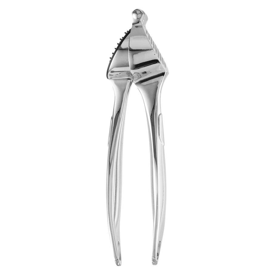 Essentials Zinc Alloy Garlic Press